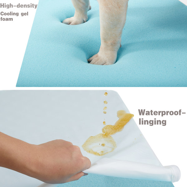 Tucker Murphy Pet™ Orthopedic Memory Foam Dog Bed, Cooling Dog Beds